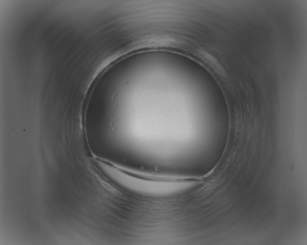 X0000067331226200604211901