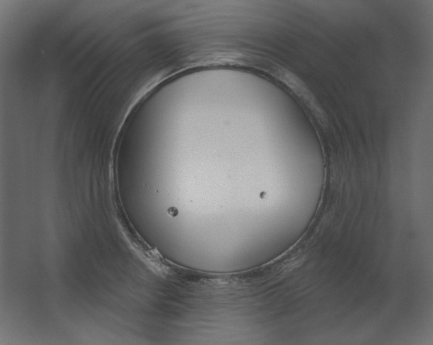 X0000067331234200604211901