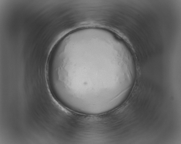 X0000067331239200604211901
