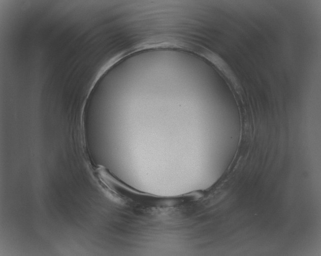 X0000067331242200604211901