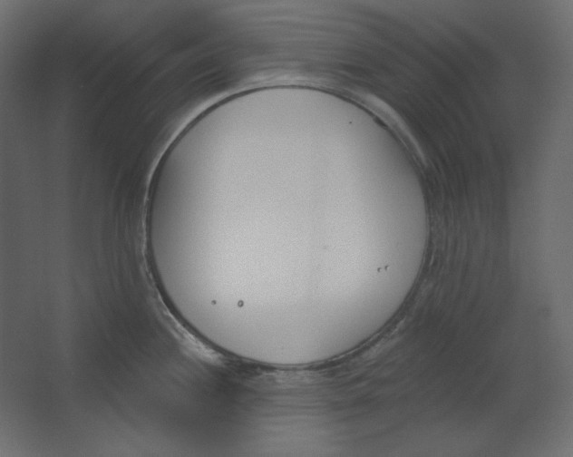 X0000067331244200604211901