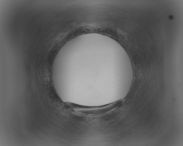 X0000067331253200604211900
