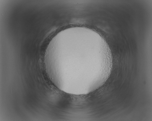X0000067331254200604211900