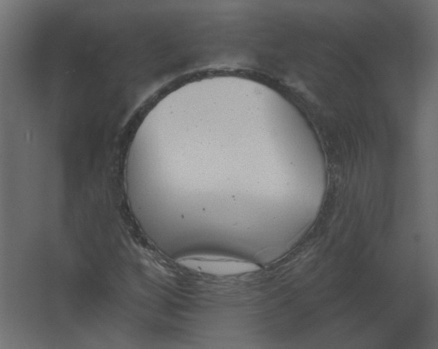 X0000067331256200604211900