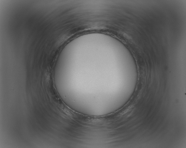X0000067331257200604211900