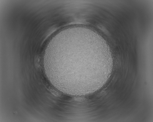 X0000067331258200604211900