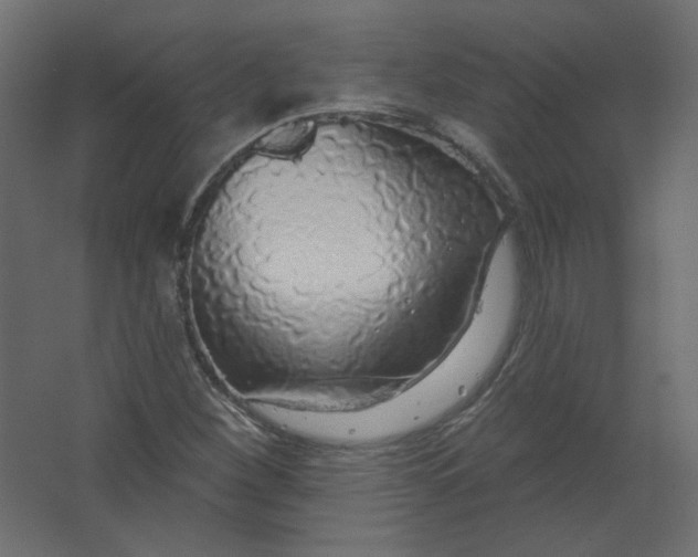 X0000067331260200604211900