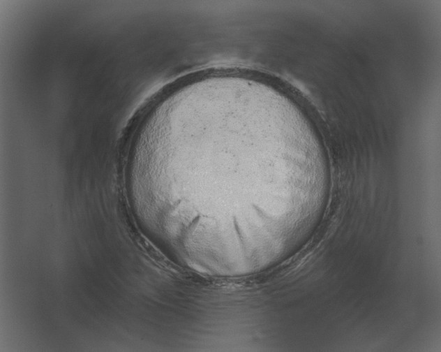 X0000067331263200604211900
