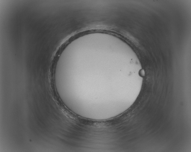 X0000067331264200604211900