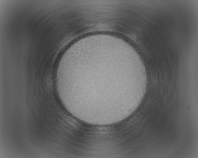 X0000067331266200604211900