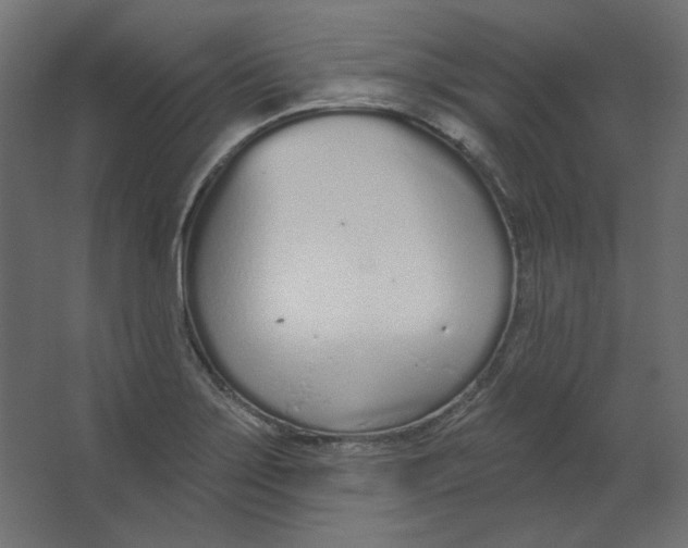 X0000067331275200604211900