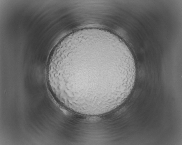 X0000067331282200604211900