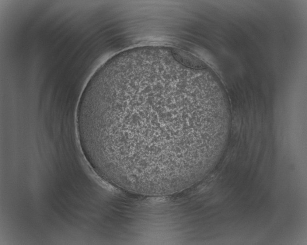 X0000067331283200604211900