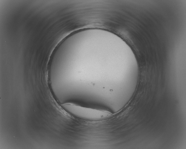 X0000067331284200604211900