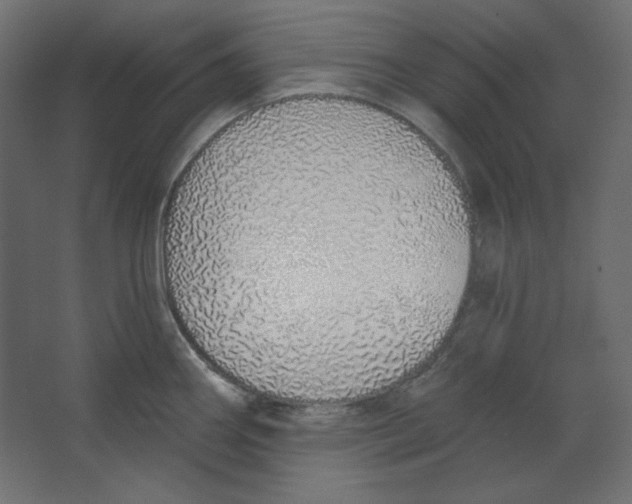 X0000067331290200604211900