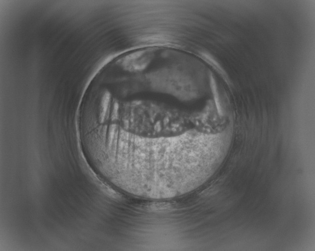 X0000067331291200604211900