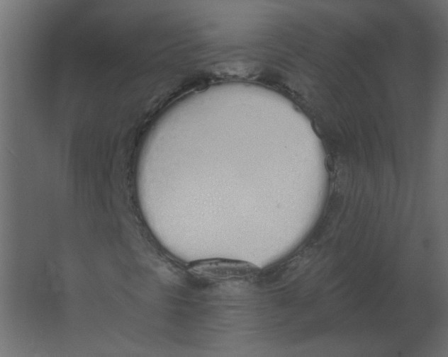 X0000067331297200604211859