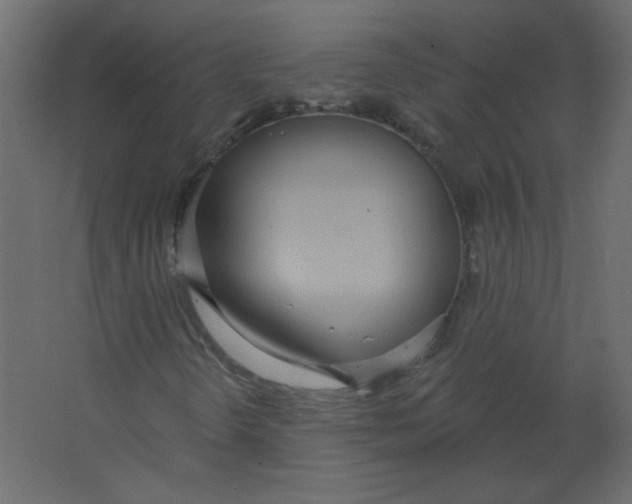 X0000067331298200604211859