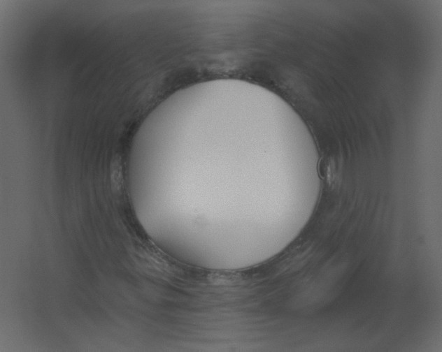 X0000067331299200604211859