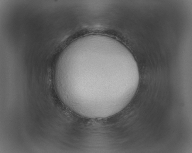 X0000067331301200604211859