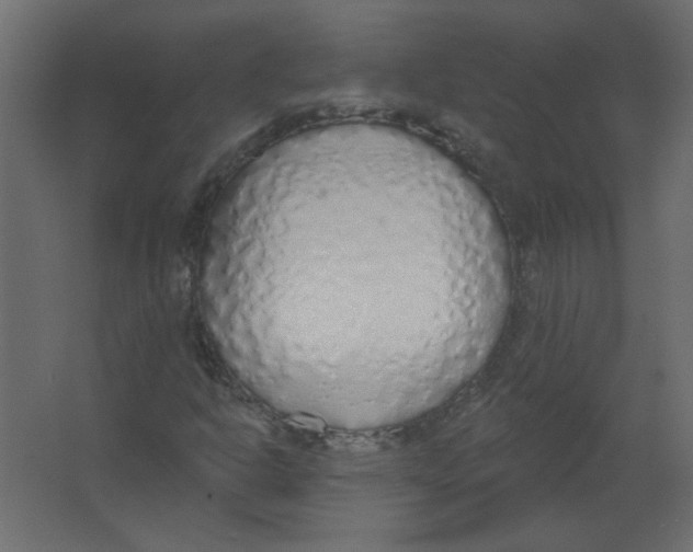 X0000067331302200604211859