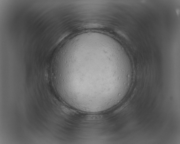 X0000067331305200604211859