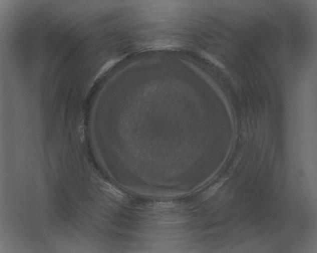 X0000067331306200604211859