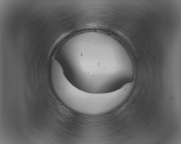 X0000067331314200604211859
