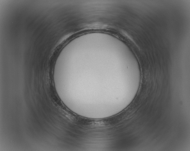 X0000067331315200604211859