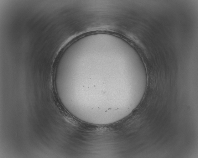 X0000067331316200604211859