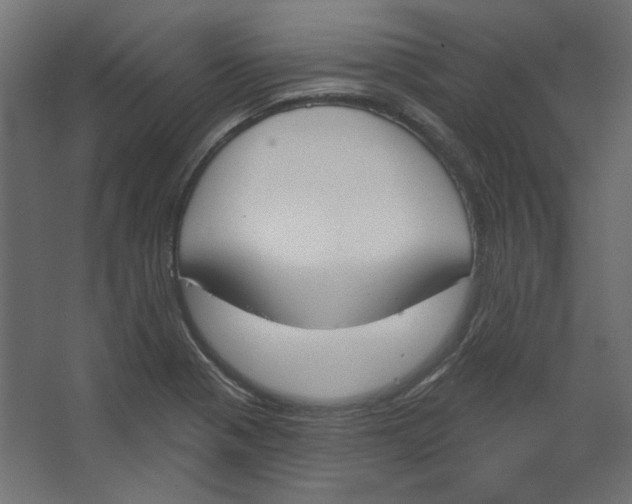 X0000067331321200604211859