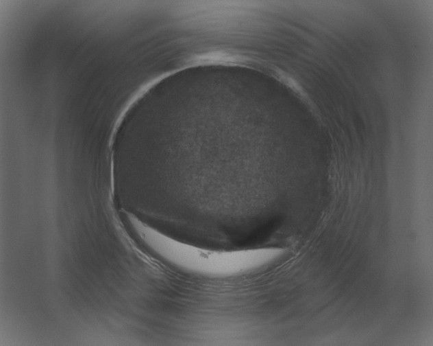X0000067331323200604211859