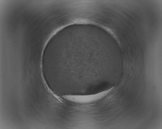 X0000067331327200604211859