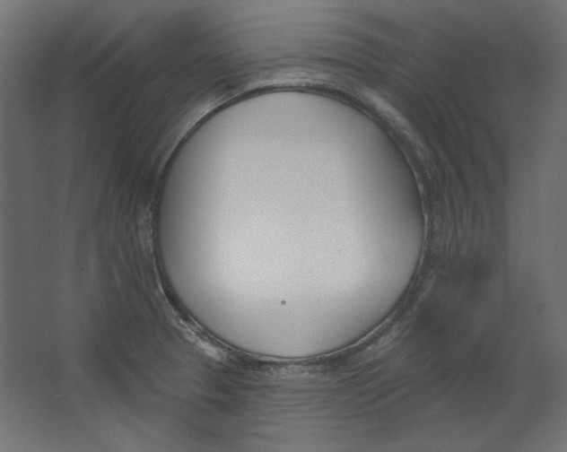 X0000067331329200604211859
