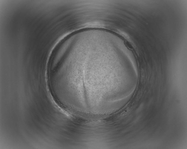 X0000067331331200604211859