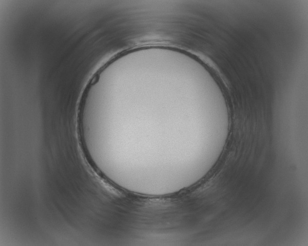 X0000067331333200604211859