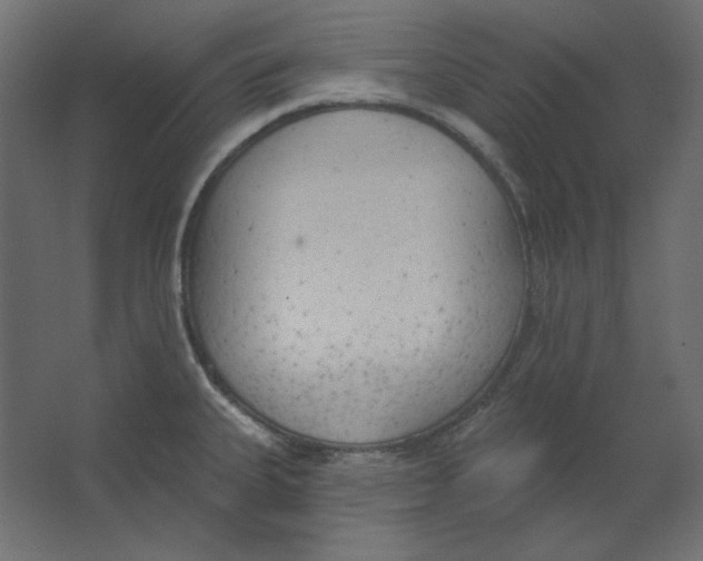 X0000067331335200604211859