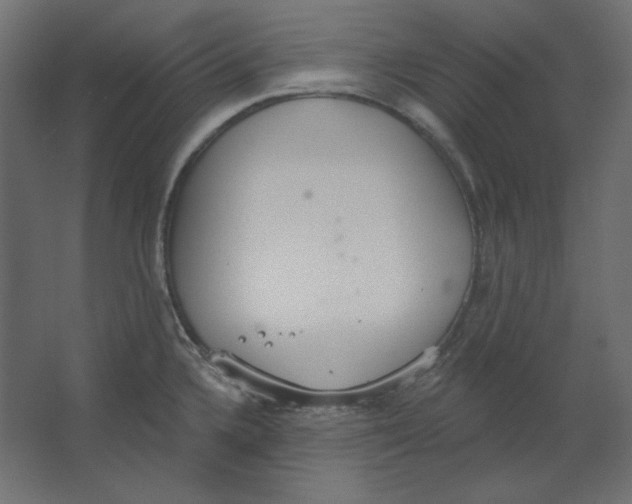 X0000067331336200604211859