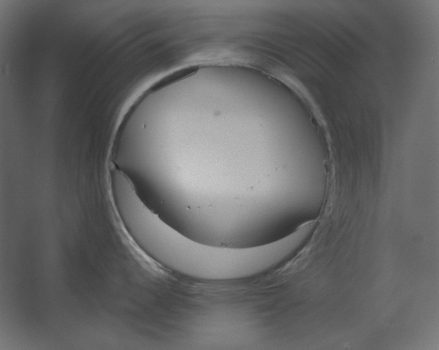 X0000067331344200604211900