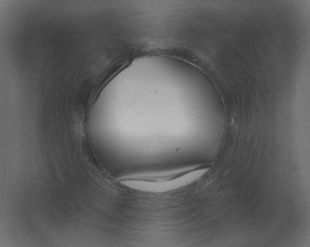 X0000067331348200604211859