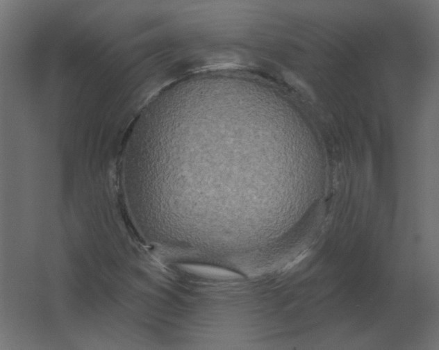 X0000067331353200604211859