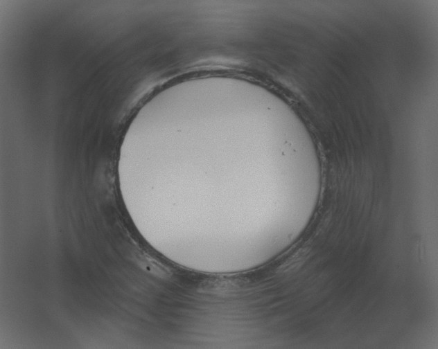 X0000067331355200604211859