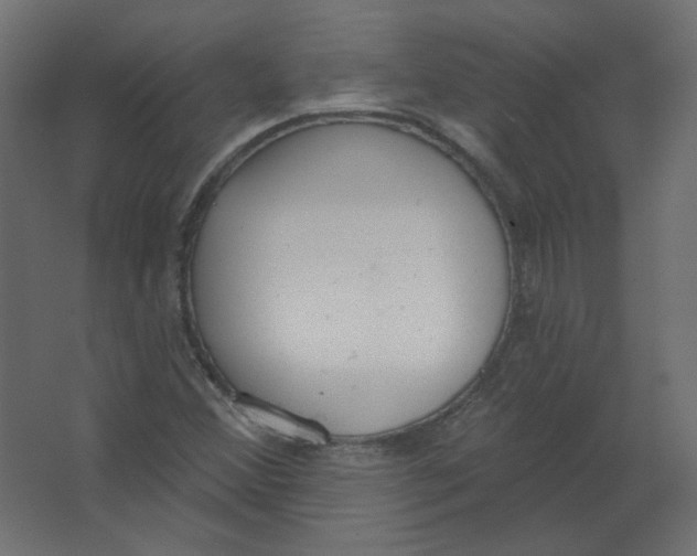 X0000067331356200604211859