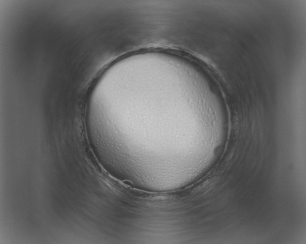 X0000067331359200604211859
