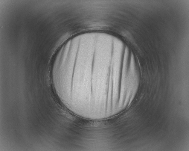 X0000067331362200604211858