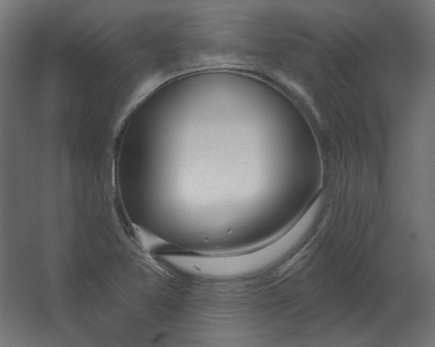 X0000067331365200604211858