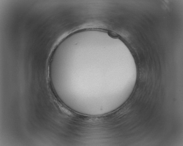X0000067331366200604211858