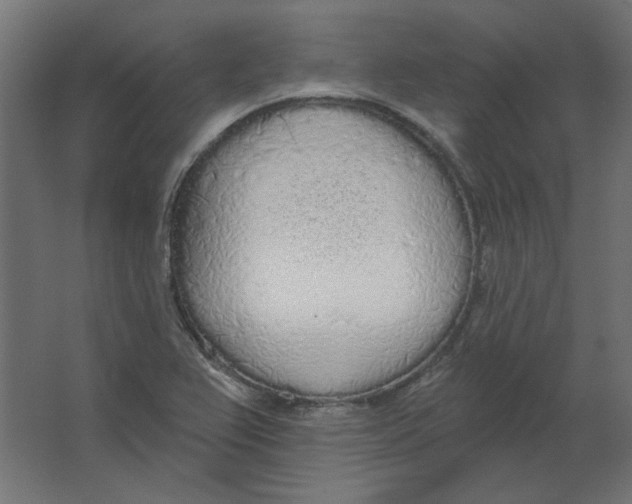 X0000067331367200604211858