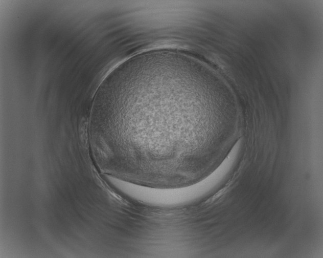 X0000067331369200604211858