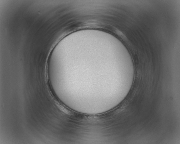 X0000067331370200604211858